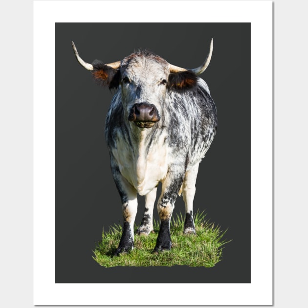 Longhorn Cow Wall Art by Jane Stanley Photography